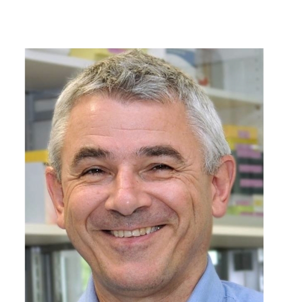 Prof Hellmut Augustin